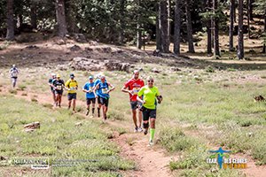 Trail Des Cèdres 2022 (Edition 13)